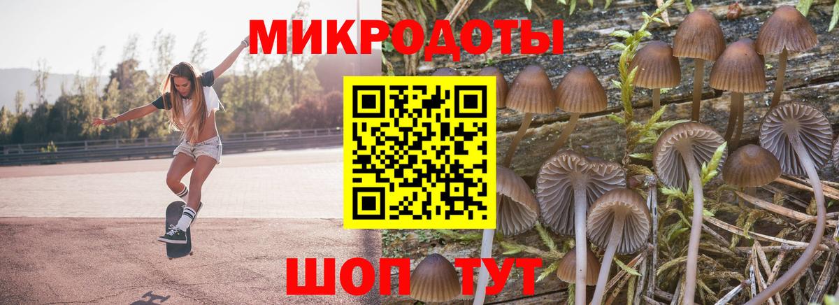 Галлюциногенные грибы мицелий  Вход с VPN  Самара  продажа наркотиков  Псилоцибиновые грибы ЛСД 